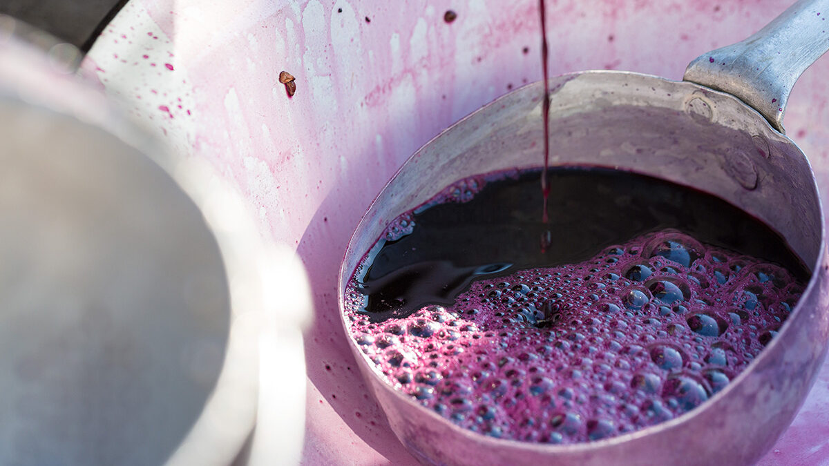 techniques de vinification