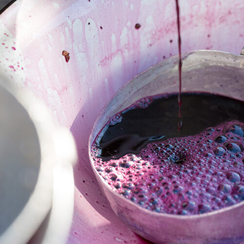 techniques de vinification