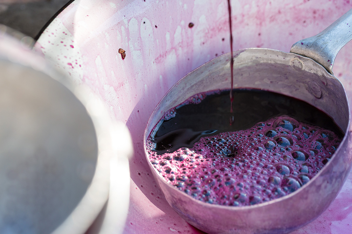 techniques de vinification